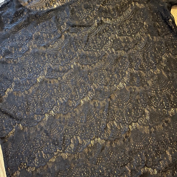 AA Sheer Lace T-Shirt Blouse - Picture 4 of 4